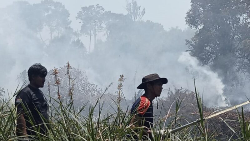 Karhutla di Aceh Barat