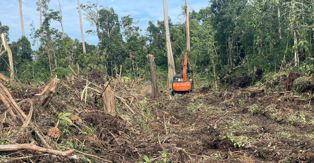 Perambahan Rawa Tripa