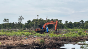 AWF: Polisi Harus Ungkap Dalang Dibalik Kasus Perambahan Kawasan Lindung Rawa Tripa