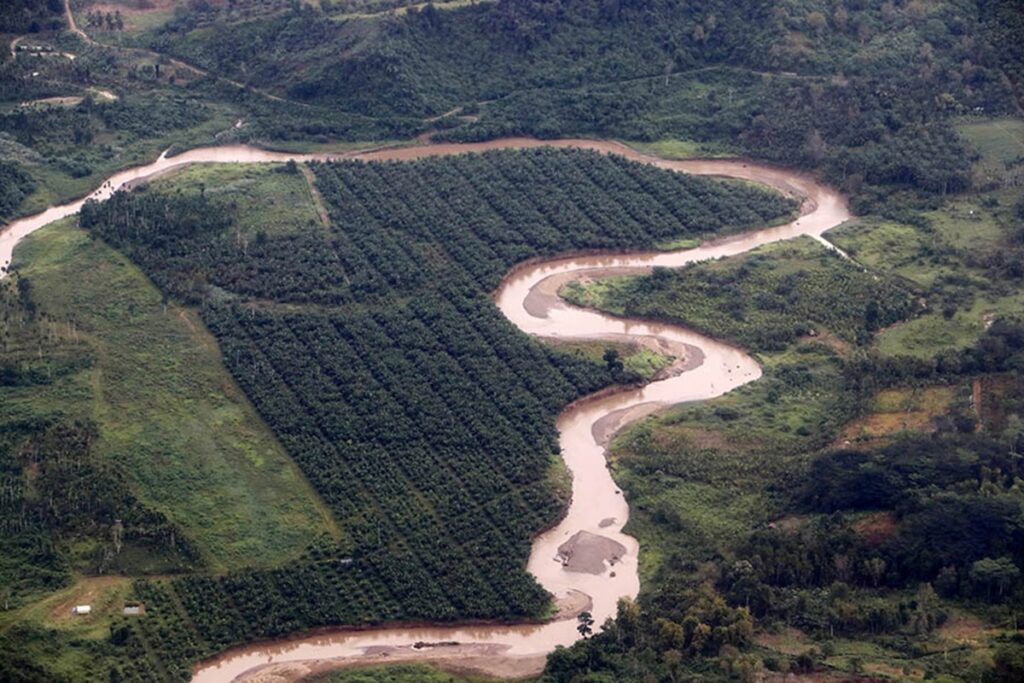 DAS di Aceh Utara dan Perkebunan Sawit
