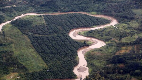 DAS di Aceh Utara dan Perkebunan Sawit