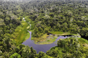RKPA 2027: Menjaga Hutan, Air, dan Ruang Hidup Rakyat Aceh