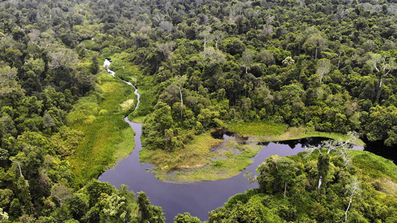 Hutan Aceh