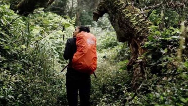 Ilustrasi pendaki gunung