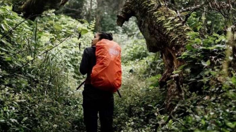 Ilustrasi pendaki gunung