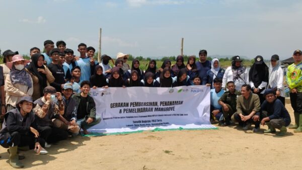 Penanaman mangrove di Kuala Raja Bireuen