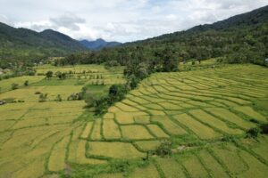 Masyarakat Beutong Surati Presiden, Tolak Tambang Emas di Jantung Hutan Aceh