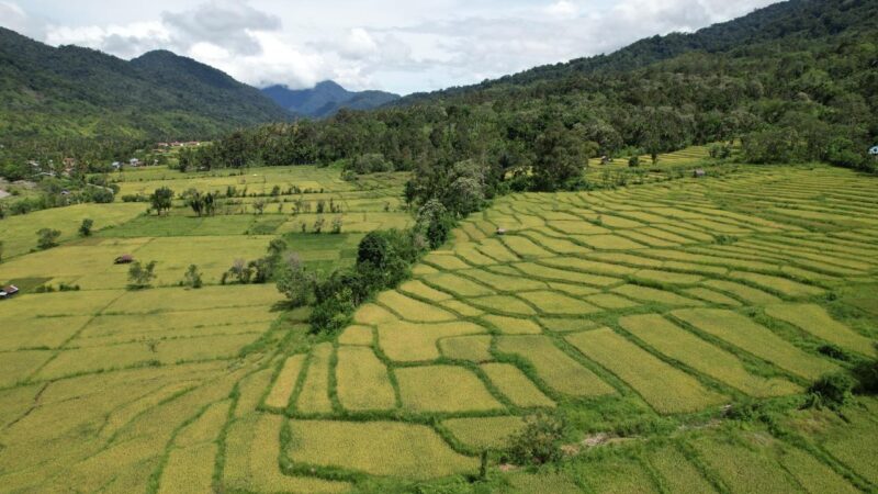 Beutong Ateuh Banggalang