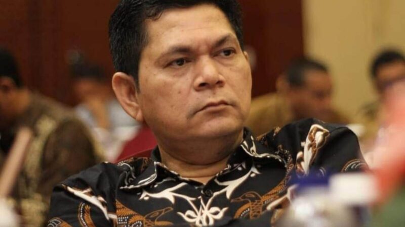 TM Zulfikar