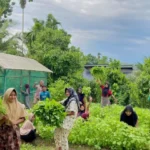 Medco E&P Malaka Dorong Ketahanan Pangan