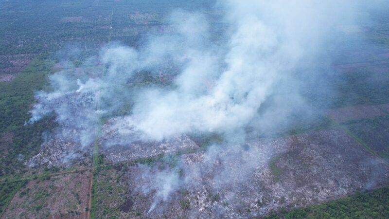 Rawa Tripa terbakar