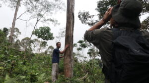 Bertahun-tahun Konflik Gajah di Tanoh Gayo, Warga Terus Menjadi Korban, WWF dan BKSDA Harus Buka Hasil Kerjanya